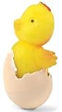 Growing Pet Chicken Egg