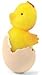 Growing Pet Chicken Egg