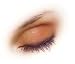 ShadowSense by SeneGence (Shimmer Copper Rose)