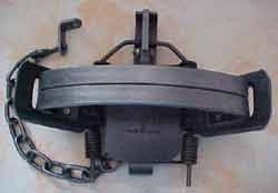 Amazon.com : (6 Pack) Bridger No. 5 4x4 Coil Spring Trap Jaw Spread 7.5