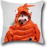 Goling BBay Art Sea Lobster Cushion Covers Solid Color Pillow Case Pillow case Set,Solid 18*18