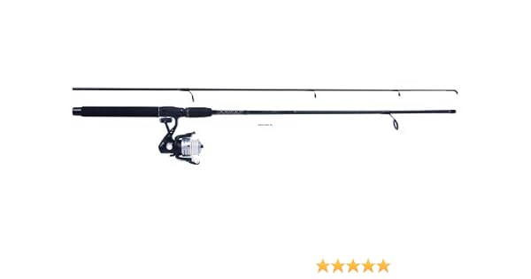 sea striker spinning combo