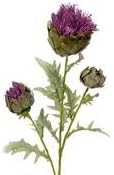 Floralsilk 80cm Artificial Cynara Thistle - Lilac
