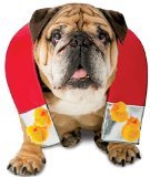 Rasta Imposta Chick Magnet Dog Costume, Medium/Large