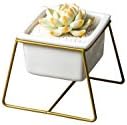 Feiren Outdoor/Indoor Planter Pots/Candle stand/Indoor 6 inch Modern Garden White Ceramic Round Bowl with Metal Air Plant Stand for Succulent Planter (Suitable for succulent （ Trapezoidal Gold ）)