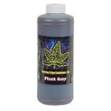 Cutting Edge Plant Amp