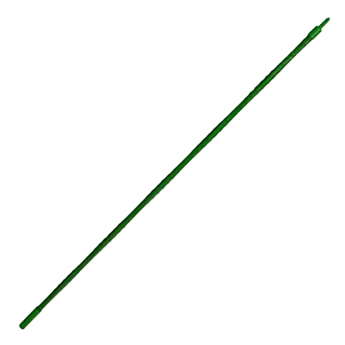 View 3
