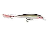 Rapala X-Rap Jerkbait 10 Fishing lure