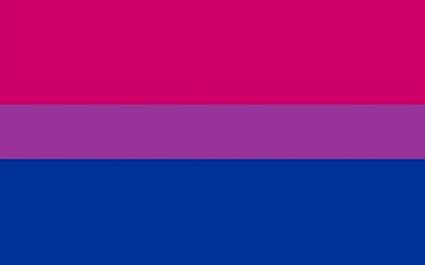 different bi flags