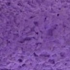Sweet Feet and Beak Thermal-Lite Natural Patented Perch, Small - Purple- Perfect for Keeping Your Bird's Feet and Beaks Healthy