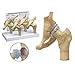 4-stage Arthritic Hip Model Set