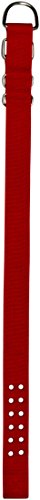 Pitbull Collar, Dog Collar for Large Dogs, Heavy Duty Nylon, Stainless Steel Hardware (XL, Fire Engine Red)