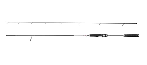 PENN Canna da spinning Conflict X Inshore, pesca dacqua salata Pesce di mare spigola, Pollock, Sgombro, Squalo, forte peso leggero e versatile, nero grigio, 3,00m extra veloce canna ambidestra