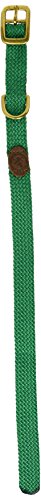 Mendota Double-Braid Junior Collar, Kelly Green, 9/16" Up to 14"