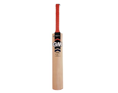 General motors gm purist premier kashmir willow cricket bat, shor…