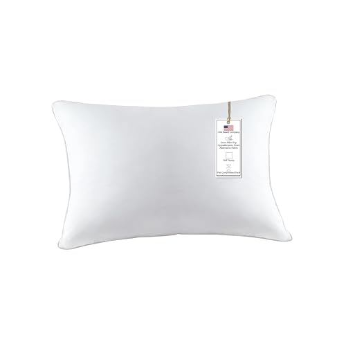 A1 HOME COLLECTIONS A1HC Throw Pillow Insert Down Feather Filled, (Pack of 2) -…