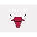 Wincraft NBA Chicago Bulls Perfect Cut Color Decal, 4