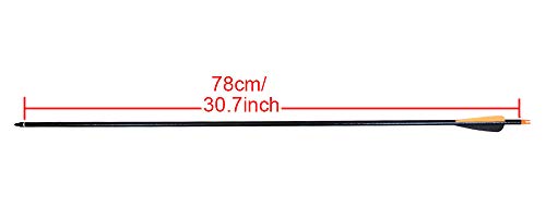 CQ Archery Practice Arrows for Recurve/Compound Bow or Traditional Bow (Targeting and Hunting) 30 inch Shaft with Removable Tips 12 Pack