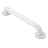 Moen R8718W Home Care Bathroom Safety 18-Inch Grab Bar with Concealed Screws, Glacier