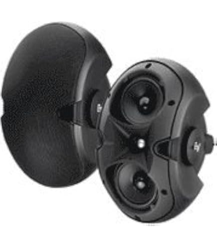 Amazon.com: Electro-Voice EVID 4.2 Dual 4