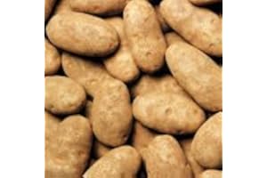 IDAHO POTATOES AT THE NEIGHBORHOOD CORNER STORE Russet Idaho Potatoes Fresh Premium Fruit and Produce Vegetables, 4 pound case
