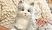 Joy for All- Silver Companion Pet -for Seniors and Age Related Memory Loss