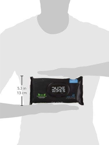 DUDE WIPES – FLUSHABLE WIPES – 2 PACK, 48 WIPES – UNSCENTED EXTRA-LARGE ADULT WET WIPES – VITAMIN-E & ALOE FOR AT-HOME USE – SEPTIC AND SEWER SAFE