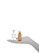 L’Oréal Paris Makeup True Match Super-Blendable Liquid Foundation, Golden Beige N6.5, 1 Fl Oz,1 Count