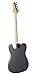 Firefly FFTH S Hollow body Guitar Matt Black