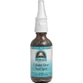 Source Naturals Wellness Colloidal Silver Nasal Spray, 10 ppm