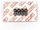 Engine Valve stem Seal Nissan 13207-ED000 (8X) | Ascend Sealing