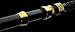 Daiwa SA-B66HF-DD Saltiga Dendoh Style Deep Drop Rod, 6'6