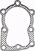 Rotary # 1489 Head Gasket For Tecumseh # 29953C by Rotary