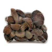 French Porcini Mushrooms - Frozen - 1 x 2.2 lb