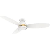 Carro 48" Flush Mount Ceiling Fan with Dimmable LED Light, Modern Ceiling Fan with reversible DC motor, Controlled by APP, Remote, Google Home and Siri Shortcut, Black
