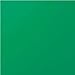 Vibrant Green Paper Party Bags (Pack of 12) - Premium Quality, Perfect for Celebrations & Gifts