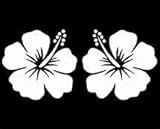 Chase Grace Studio Hibiscus Flower Hawaiian Hawaii