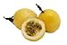 Fresh Yellow Golden Passion Fruit (3lbs)