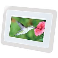QUANTARAY 7" DIGITAL FRAME - WHITE
