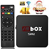 SM2 Android 6.0 4K 1080P TV Box - SMBOX Amlogic S905X Quad-Core 1G+8G 2.4GHz WIFI HDMI