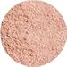 Prestige Cosmetics Skin Loving Minerals Multitask 3-in-1 Powder Concealer, Ivory, 0.23 Ounce