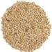 Canary Seed/ Alpiste