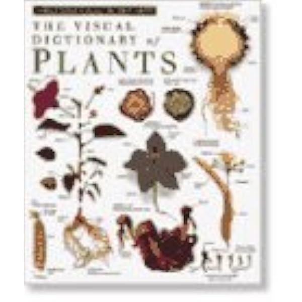 Amazon.com: Mabberley's Plant-book: A Portable Dictionary of