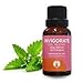 INVIGORATE Essential Oil Blend - Uplifting Essential Oil - Save With GuruNanda Essential Oil Synergy Blend - 100% Pure Therapeutic Grade - Undiluted - 15 ml