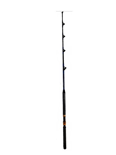 Saltwater Fishing Rod all Roller Guides, Fishing Pole, 150-180 Lb