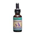 Herbs For Kids Echinacea/Astragalus Blend