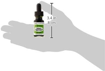 Dr. Ph. Martin's Radiant Concentrated Water Color, 0.5 oz, Chartreuse (34C), 1 ml (Pack of 1) - Image 3