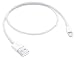 Apple Lightning to USB Cable (0.5 m) primary