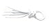 BCB Wear Oval Athletic Shoelaces 1/4