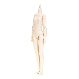 Obitsu Doll 24cm Body Bust S Whitey - 1/6 Scale Articulated Figure, Frosted Finish, Includes Hands & Adapters